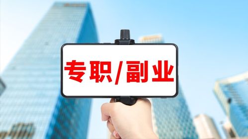 想要通过副业增加收入，应该学习哪门技术最合适？