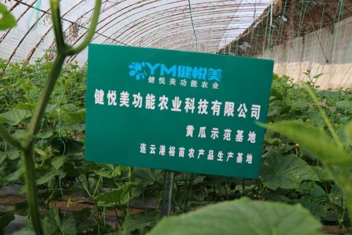 选择哪种农场经营模式才能真正实现盈利？
