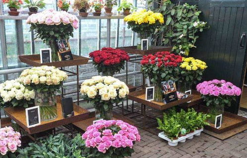 开同城送花店如何实现盈利？成功秘诀在哪里？