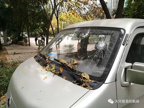 洛阳私家车如何实现盈利模式？