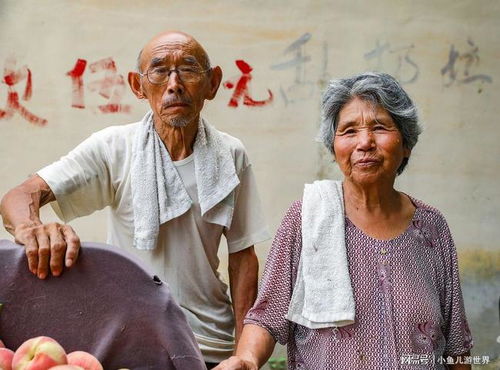 农村老人如何自力更生实现经济独立？