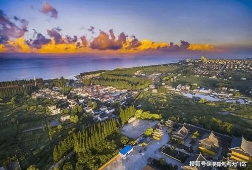 崇明岛上哪些行业最具赚钱潜力？