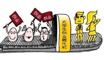 大学生创业卖大米，真的能赚到钱吗？
