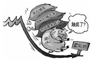 低谷期如何找到赚钱的门路？