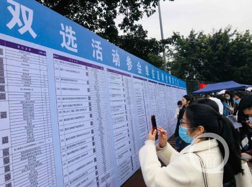 重庆大学生如何借助智慧就业平台实现高效求职？