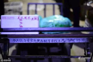 骆驼祥子是如何通过工作赚取收入的？