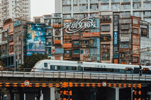 陕西蒲城县的副业发展如何？探寻当地特色产业背后的故事