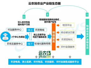 直播究竟对农产品电商有何作用与影响？