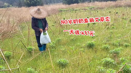 农村婆婆靠卖破烂赚钱，这样的生活可行吗？