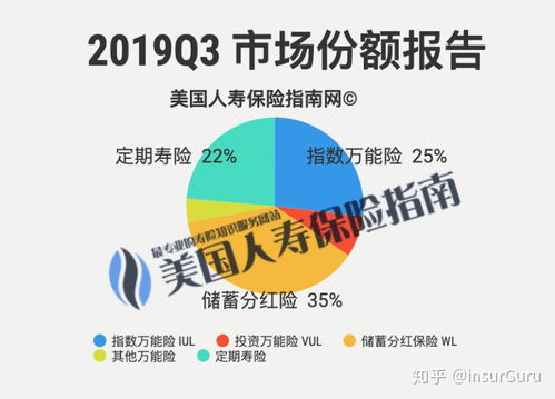 开设保险分公司能否实现盈利？投资回报率如何？
