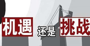 西工大博士兼职招聘，你了解多少？机会与挑战并存！