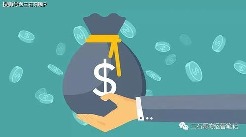 如何通过赚钱来守护你？探寻有效保护之道