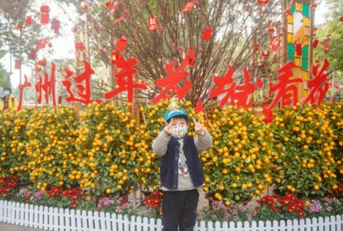 文乡情怀｜大老太太带路，铁门口刺槐花美食之旅去不去？