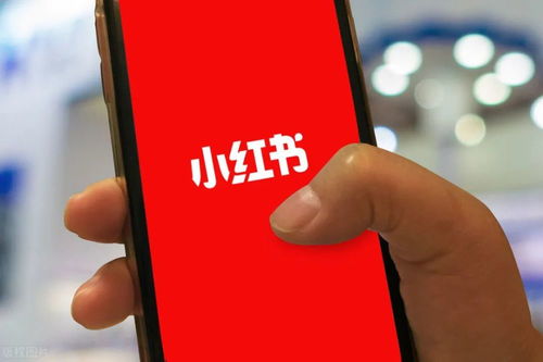 小红书打广告真的能赚钱吗？效果如何？