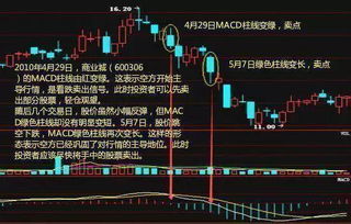 红龙为何能如此高效盈利，背后有何秘诀？