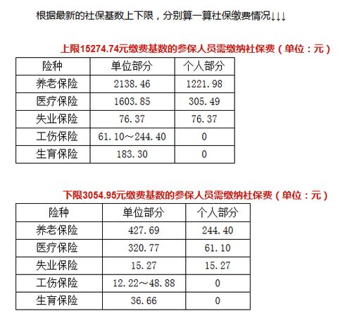 宁波社保个人每月需缴纳多少费用？详解缴费标准