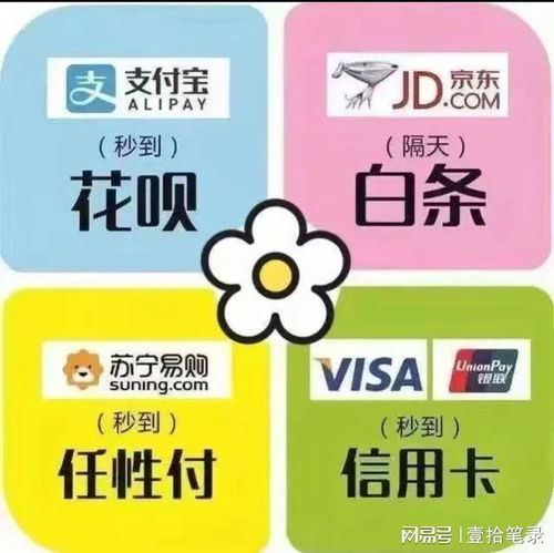 年轻人如何通过拍照技能实现赚钱之道？