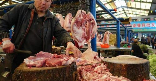 卤鸭货与猪肉，哪个更赚钱？
