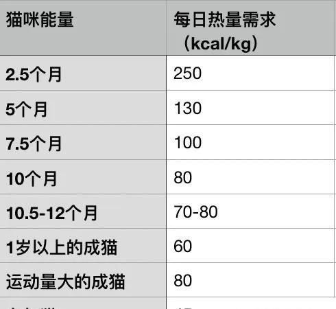 正新鸡排的大卡路里含量你知道吗？一份能提供多少能量？