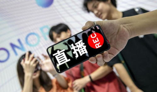 詹子啨除了主业外，他的副业究竟是什么？