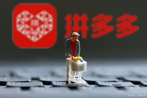如何通过拼多多助力轻松学会钓鱼技巧？视频教程详解