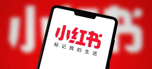 如何从零开始在小红书上打造爆款副业账号？