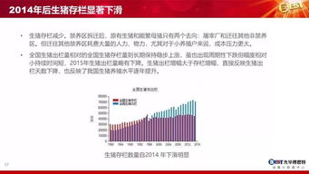 未来几年投身养猪业，盈利前景如何？