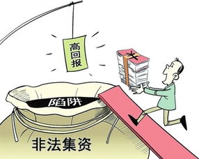 美蜜项目真的能带来稳定收益吗？值得一试还是隐藏风险？