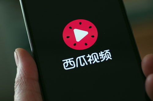 西瓜视频平台上有哪些值得尝试的副业机会？
