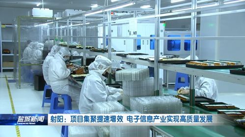 代看猫咪如何实现高收益？最佳赚钱方法大探讨