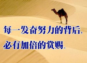 为何我们非得拼命赚钱？揭开努力背后的深层动机