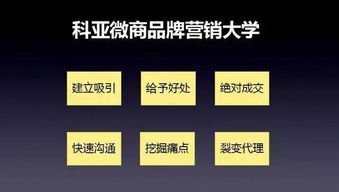 微商营销大师如何助力高效盈利，哪些策略值得借鉴？