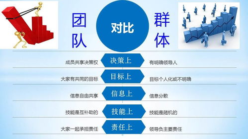 如何打造高效副业联盟团队？全面解析团队构建与运营策略
