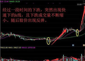 炒金螳螂股票真的能盈利吗？投资者如何看其前景？