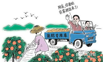 农村创业如何实现盈利？有哪些可行的赚钱途径？