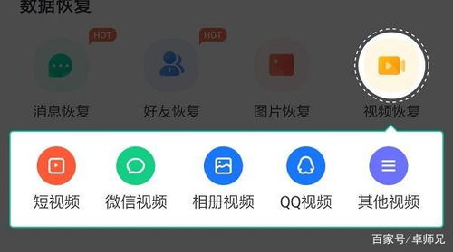 如何找到既养老婆又赚钱的实用方法？视频详解！