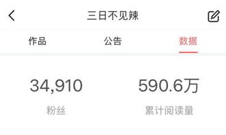 如何通过拍摄农村记录视频实现盈利？