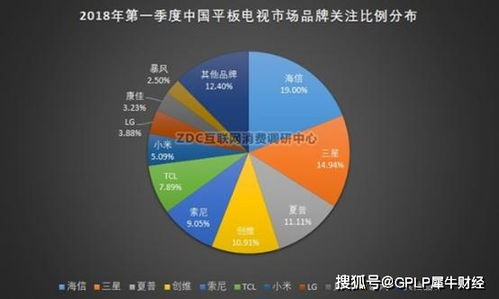 老板转型自媒体拍摄，真的能实现盈利吗？