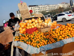 在店门口摆摊卖水果，真的能赚到钱吗？
