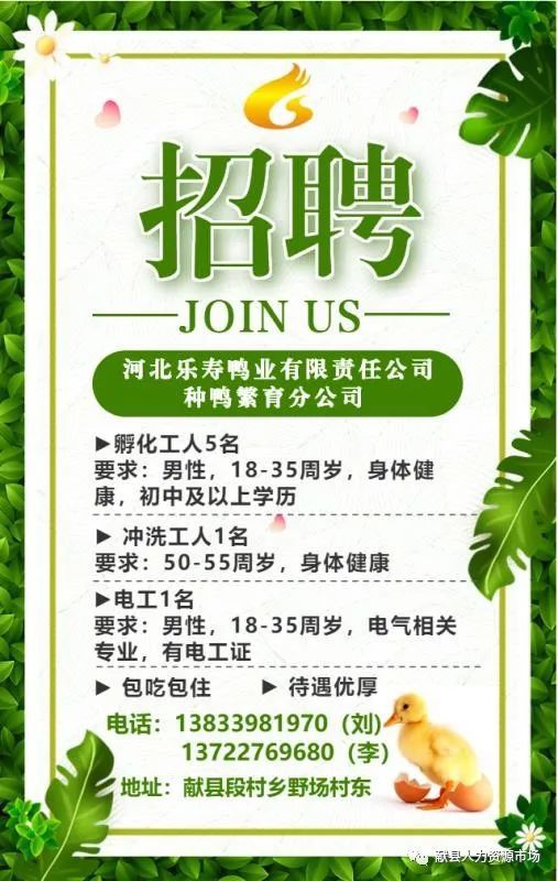 温州最新招工信息哪里找？招聘信息网查询指南在此！