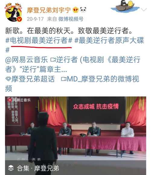 衡水哪里能找到可靠的兼职保镖服务？