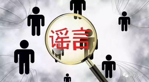 大龙镇副业究竟有何独特之处，吸引众多关注？