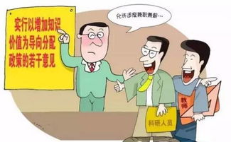 高校教师每日兼职都在忙些什么？