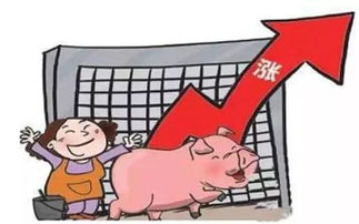 如何经营家庭猪肉生意实现盈利？