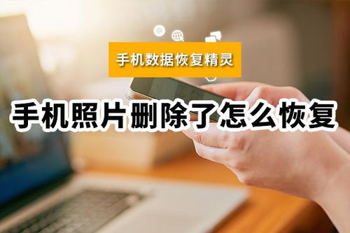 如何在家找到高效赚钱的门路？