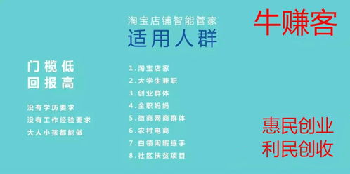 如何成功运营官方网店实现盈利？