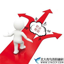 普通人如何在竞争激烈的北京成功找到理想工作？
