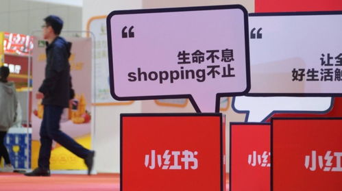 小红书粉丝达到多少才能变现？全面解析小红书赚钱途径
