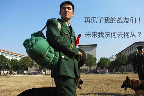 退役军人适合学习哪些技能更容易实现高收入？