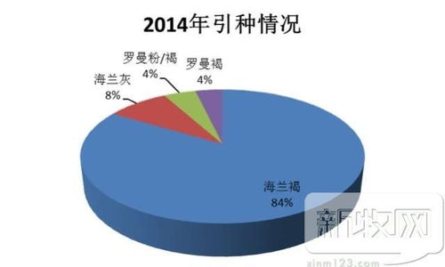 在村里开设鸡蛋厂能否实现盈利？可行性分析探讨